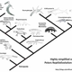 Image for article titled The best scientific smackdown about evolution you'll read this week